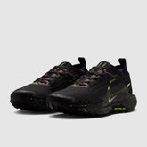 Nike Womens Pegasus Trail 5 GORE-TEX