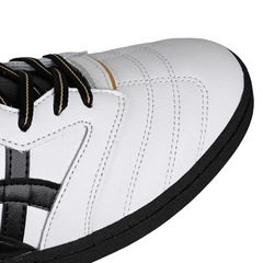 Asics Skateboarding Leggerezza FB Pro Shoe