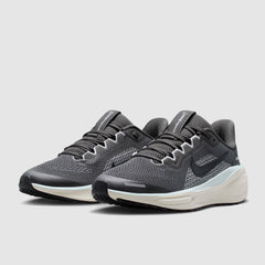 Nike Older Kids Pegasus 41 (GS)
