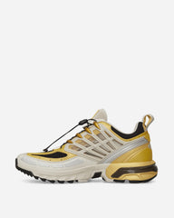 ACS Pro 20 Years Anniversary Golden Archive Sneakers Rich Gold Old / Silver Cloud