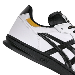 Asics Skateboarding Leggerezza FB Pro Shoe